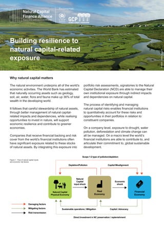 Why natural capital matters
The natural environment underpins all of the world’s
economic activities. The World Bank has estimated
that naturally occurring assets such as geology,
soil, air, water, flora and fauna make up 36% of total
wealth in the developing world.
It follows that careful stewardship of natural assets,
through better management of natural capital-
related impacts and dependencies, while realising
opportunities to invest in nature, will support
economic resilience and contribute to greener
economies.
Companies that receive financial backing and risk
cover from the world’s financial institutions often
have significant exposure related to these stocks
of natural assets. By integrating this exposure into
portfolio risk assessments, signatories to the Natural
Capital Declaration (NCD) are able to manage their
own institutional exposure through indirect impacts
and dependencies on natural capital.
The process of identifying and managing
natural capital risks enables financial institutions
to quantitatively account for these risks and
opportunities in their portfolios in relation to
constituent companies.
On a company level, exposure to drought, water
pollution, deforestation and climate change can
all be managed. On a macro level the world’s
financial institutions are able to contribute to, and
articulate their commitment to, global sustainable
development.
Building resilience to
natural capital-related
exposure
Natural Capital
Physical Economy
Real
Economy
Financial
Economy
Depletion/Pollution Capital Misalignment
Scope 1-2 type of pollution/depletion
Sustainable operations / Mitigation Capital / Advocacy
Direct Investment in NC preservation / replenishment
Natural
Capital
input shock
Economic
shock
Damaging factors
Mitigating factors
Risk transmission
Figure 1 : Flow of natural capital inputs
and economic risk factors ©iStock:LesleyJacques
 