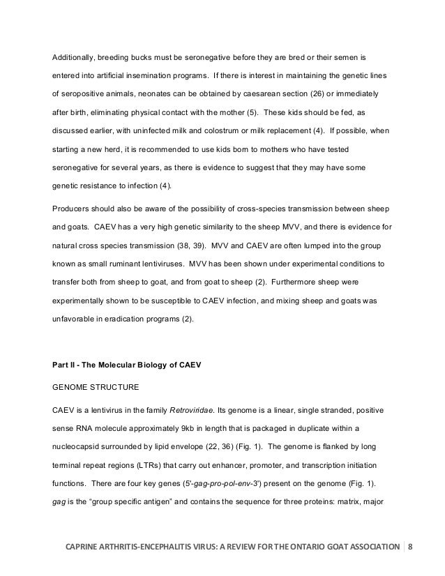 Literature review industry image