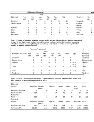 Fisherman's Memorial N.Kin
Date
Observed Feb.
14th
Feb.
28th
Mar.
15th
Apr.
4th
Apr.
18th
Total Observed Feb.
14th
F
2
Songbirds 5 5 13 10 21 54 Songbirds 3
Canada Geese 0 4 6 0 0 10 Canada
Geese
0
Pigeons 0 2 0 4 3 9 Pigeons 2
Doves 0 1 0 0 2 3 Doves 2
Gulls 2 3 6 8 2 21 Gulls 2
Am.Crow 1 0 2 0 1 4 Am.Crow 3
Figure 3: Number of avoidance behaviors seen per species, per date. Micro-avoidance behaviors categorized
by type; A- Any flight toward turbine, followed by tactical avoidance in immediate proximity (occurring
<20m from turbine) B- Altering flight path to completely avoid vicinity of turbine (occurring >20m from
turbine) or O-Other abnormal behavior.
Fisherman's Memorial
Date
Avoidance Behaviors Feb.
14th
Feb.
28th
Mar.
15th
Apr.
4th
Apr.
18th
Total Type Avoidance
Behaviors
Songbirds 0 0 0 0 0 0 Songbirds
Canada Geese 0 0 0 0 0 0 Canada Geese
Pigeons 0 1 0 0 1 2 A(1)
O(1)
Pigeons
Doves 0 1 0 0 0 1 A(1) Doves
Gulls 1 0 0 1 0 2 A(2) Gulls
Am.Crow 0 0 0 0 0 0 Am.Crow
Figure 4: Chi-Test results suggestthat there is a significant lack of avoidance behaviors in the turbine areas
when compared to perceived indifference (p<<a of 0.05.)
Observed
Species Songbirds Canada
geese
Pigeons Doves Gulls Am.
crow
Total
Avoidance Behavior 0 0 4 3 4 0 11
No Observable
Avoidance
128 13 24 10 25 12 212
Total 128 13 28 13 29 12 223
Expected
Species Songbirds Canada
geese
Pigeons Doves Gulls Am.Crow Total
Avoidance Behavior 6.31 0.64 1.38 0.64 1.43 0.59 11.00
No Observable 121.69 12.36 26.62 12.36 27.57 11.41 212.00
 