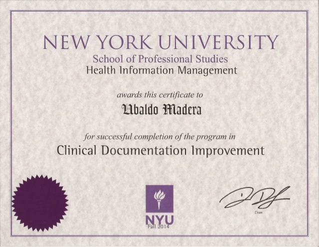 degree from creative writing nyu