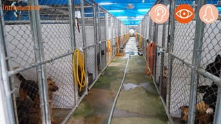 如何進行數位政府的用戶體驗與服務設計的優化  / 唐玄輝