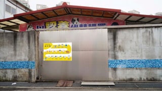 如何進行數位政府的用戶體驗與服務設計的優化  / 唐玄輝