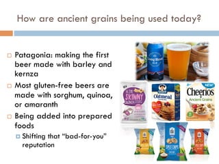 How are ancient grains being used today?
¨  Patagonia: making the first
beer made with barley and
kernza
¨  Most gluten-free beers are
made with sorghum, quinoa,
or amaranth
¨  Being added into prepared
foods
¤  Shifting that “bad-for-you”
reputation
 