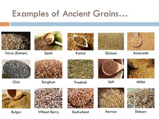 Examples of Ancient Grains…
Farro (Emmer) Spelt Kamut Quinoa Amaranth
Chia Sorghum Freekah Teff Millet
Bulgur Wheat Berry Buckwheat Kernza Einkorn
 