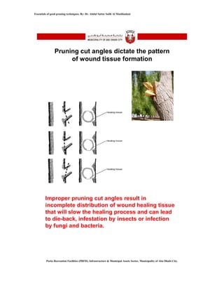 Essentials of good pruning techniques - 2010