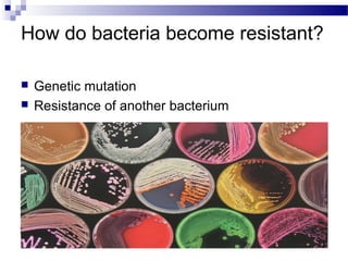 How do bacteria become resistant?
 Genetic mutation
 Resistance of another bacterium
 