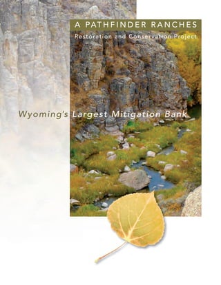 Restoration and Conservation Project
A PAT H F I N D E R R A N C H E S
Wyoming's Largest Mitigation Bank
 