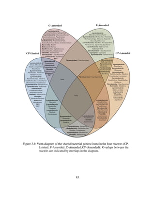 83
Figure 3.4: Venn diagram of the shared bacterial genera found in the four reactors (CP-
Limited, P-Amended, C-Amended, CP-Amended). Overlaps between the
reactors are indicated by overlaps in the diagram.
CP-Limited
ε-proteobacteria:
Sulfurospirillum
β-proteobacteria:
Thiomonas
Flavobacterium:
Cloacibacterium
γ-proteobacteria:
Thiothrix
γ-proteobacteria:
Pseudomonas
Actinobacteria:
Propionibacterium
Clostridia:
Anaerococcus
Deinococci*
TM7
α-proteobacteria:
Thioclava
β-proteobacteria:
Thiobacillus,
Thiomonas
γ-proteobacteria:
Thiothrix,
Thermomonas
β-proteobacteria: Thiomonas
γ-proteobacteria: Halothiobacillus,
Thiothrix, Pseudomonas
α-proteobacteria: Rhodobacter
Clostridia: Anaerococcus
δ-proteobacteria:
Desulfovibrio,
γ-proteobacteria:
Pseudomonas
Flavobacteriia:
Cloacibacterium
Actinobacteria
Clostridia:
Anaerococcus
Coriobacteriia:
Atopobium
None
None
β-proteobacteria:
Thiomonas
γ-proteobacteria:
Thiothrix
γ-proteobacteria:
Pseudomonas
Clostridia:
Anaerococcus
α-proteobacteria:
Bosea, Thioclava,
Ensifer, Azospirillum,
Rhodobacter
β-proteobacteria:
Thiobacillus, Thiomonas,
Methyloversatilis
γ-proteobacteria:
Halothiobacillus, Thiothrix,
Acidithiobacillus, Acinetobacter,
Thermomonas, Pseudomonas
δ-proteobacteria: Desulfococcus
ε-proteobacteria: Sulfurovum
Actinobacteria:
Acidithiomicrobium,
Propionibacterium
Clostridia: Anaerococcus
Nitrospira:
Thermodesulfovibrio
Deinococci:
Meiothermus
TM7:
TM7
α-proteobacteria:
Rhodobacter
β-proteobacteria:
Thiomonas
γ-proteobacteria:
Halothiobacillus, Thiothrix,
Pseudomonas, Aeromonas
δ-proteobacteria:
Desulfovibrio, Desulfobulbus,
Geobacter
Flavobacteriia: Cloacibacterium
Bacteroidia: Alkaliflexus
ε-proteobacteria:
Sulfurospirillum
Actinobacteria
Clostridia:
Anaerococcus
Coriobacteriia:
Atopobium
α-proteobacteria:
Breadyrhizobium, Sphingobium
γ-proteobacteria: Gluconacetobacter,
Stenotrophomonas, Pseudomonas
δ-proteobacteria: Desulfovibrio,
Actinobacteria: Propionibacterium,
Corynebacterium, Dietzia, Acidomicrobiales
Bacteroidia: Blvii28
Deinococci: Thermus
Bacilli: Bacillus, Staphylococcus,
Alicyclobacillus, Streptococcus
Clostridia: Anaerococcus
Flavobacteriia: Cloacibacterium
Coriobacteriia: Atopobium
TM7
α-proteobacteria:
Thioclava, Pannonibacter
β-proteobacteria: Thiobacillus, Thiomonas,
Hydrogenophaga, Mitsuaria, Vogesella,
Ideonella, Pelomonas
γ-proteobacteria: Thiothrix, Thioalkalivibrio,
Thermomonas, Aquimonas, Lysobacter
ε-proteobacteria: Sulfuricurvum,
Sulfurospirillum
Flavobacterium: Cloacibacterium
Saprospirae: Saprospira
δ-proteobacteria: Corallococcus
Flavobacterium: Cloacibacterium
Flavobacterium: Cloacibacterium
C-Amended P-Amended
CP-Amended
 