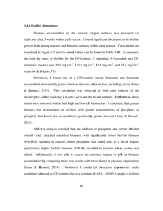 88
3.4.4 Biofilm Abundance
Biomass accumulation on the mineral coupon surfaces was measured (in
triplicate) after 3-weeks within each reactor. I found significant discrepancies in biofilm
growth both among reactors and between surfaces within each reactor. These trends are
visualized in Figure 3.5 and the actual values can be found in Table 3.10. In summary,
the total dry mass of biofilm for the CP-Limited, C-Amended, P-Amended, and CP-
Amended reactors was 50.5 mg·cm-2
, 110.1 mg·cm-2
, 12.8 mg·cm-2
, and 25.4 mg·cm-2
,
respectively (Figure 3.5).
Previously, I found that in a CP-Limited reactor limestone and dolostone
accumulated substantially greater biomass than any other surface, including calcite (Jones
& Bennett, 2014). This correlation was observed in both pure cultures of the
mixotrophic, sulfur-oxidizing Thiothrix unzii and the mixed cultures. Furthermore, these
trends were observed within both high and low-pH bioreactors. I concluded that greater
biomass was accumulated on surfaces with greater concentrations of phosphate, as
phosphate rich basalt also accumulated significantly greater biomass (Jones & Bennett,
2014).
ANOVA analysis revealed that the addition of phosphate and carbon affected
overall (total) attached microbial biomass, with significantly lower biofilm biomass
(P<0.002) recorded in reactors where phosphate was added and, to a lesser degree,
significantly higher biofilm biomass (P<0.04) recorded in reactors where carbon was
added. Additionally, I was able to assess the potential impact of pH on biomass
accumulation by comparing these new results with those found in previous experiments
(Jones & Bennett, 2014). Previously I conducted bioreactor experiments under
conditions identical to CP-Limited, but at a constant pH=8.3. ANOVA analysis of those
 