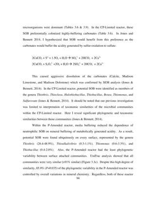 94
microorganisms were dominant (Tables 3.6 & 3.9). In the CP-Limited reactor, these
SOB preferentially colonized highly-buffering carbonates (Table 3.6). In Jones and
Bennett 2014, I hypothesized that SOB would benefit from this preference as the
carbonates would buffer the acidity generated by sulfur-oxidation to sulfate:
2CaCO3 + S° + 1.5O2 + H2O à SO4
2-
+ 2HCO3
-
+ 2Ca2+
2CaCO3 + S2O3
2-
+2O2 + H2O à 2SO4
2-
+ 2HCO3
-
+ 2Ca2+
This caused aggressive dissolution of the carbonates (Calcite, Madison
Limestone, and Madison Dolostone) which was confirmed by SEM analysis (Jones &
Bennett, 2014). In the CP-Limited reactor, potential SOB were identified as members of
the genera Thiothrix, Thioclava, Halothiobacillus, Thiobacillus, Bosea, Thiomonas, and
Sulfurovum (Jones & Bennett, 2014). It should be noted that our previous investigation
was limited to interpretation of taxonomic similarities of the microbial communities
within the CP-Limited reactor. Here I reveal significant phylogenetic and taxonomic
similarities between those communities (Jones & Bennett, 2014).
Within the P-Amended reactor, media buffering reduced the dependence of
neutrophilic SOB on mineral buffering of metabolically generated acidity. As a result,
potential SOB were found ubiquitously on every surface, represented by the genera
Thiothrix (26.4-48.9%), Thioalkalivibrio (0.3-1.1%), Thiomonas (0.6-3.3%), and
Thiobacillus (0.4-2.0%). Also, the P-Amended reactor had the least phylogenetic
variability between surface attached communities. UniFrac analysis showed that all
communities were very similar (>91% similar) (Figure 3.3c). Despite this high degree of
similarity, 85.9% (P=0.035) of the phylogenetic variability in the P-Amended reactor was
controlled by overall variations in mineral chemistry. Regardless, both of these reactor
 