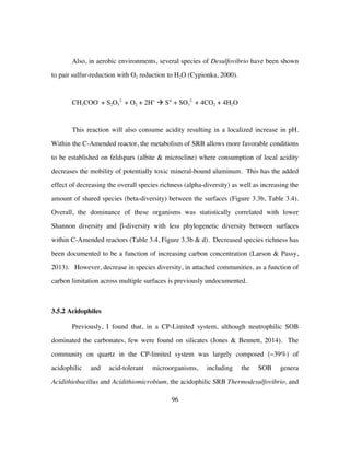 96
Also, in aerobic environments, several species of Desulfovibrio have been shown
to pair sulfur-reduction with O2 reduction to H2O (Cypionka, 2000).
CH3COO-
+ S2O3
2-
+ O2 + 2H+
à S° + SO3
2-
+ 4CO2 + 4H2O
This reaction will also consume acidity resulting in a localized increase in pH.
Within the C-Amended reactor, the metabolism of SRB allows more favorable conditions
to be established on feldspars (albite & microcline) where consumption of local acidity
decreases the mobility of potentially toxic mineral-bound aluminum. This has the added
effect of decreasing the overall species richness (alpha-diversity) as well as increasing the
amount of shared species (beta-diversity) between the surfaces (Figure 3.3b, Table 3.4).
Overall, the dominance of these organisms was statistically correlated with lower
Shannon diversity and β-diversity with less phylogenetic diversity between surfaces
within C-Amended reactors (Table 3.4, Figure 3.3b & d). Decreased species richness has
been documented to be a function of increasing carbon concentration (Larson & Passy,
2013). However, decrease in species diversity, in attached communities, as a function of
carbon limitation across multiple surfaces is previously undocumented.
3.5.2 Acidophiles
Previously, I found that, in a CP-Limited system, although neutrophilic SOB
dominated the carbonates, few were found on silicates (Jones & Bennett, 2014). The
community on quartz in the CP-limited system was largely composed (~39%) of
acidophilic and acid-tolerant microorganisms, including the SOB genera
Acidithiobacillus and Acidithiomicrobium, the acidophilic SRB Thermodesulfovibrio, and
 