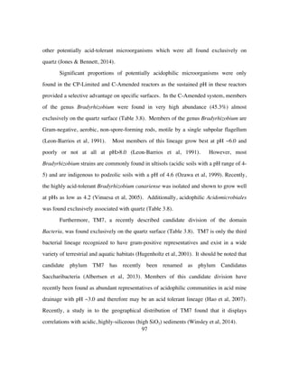 97
other potentially acid-tolerant microorganisms which were all found exclusively on
quartz (Jones & Bennett, 2014).
Significant proportions of potentially acidophilic microorganisms were only
found in the CP-Limited and C-Amended reactors as the sustained pH in these reactors
provided a selective advantage on specific surfaces. In the C-Amended system, members
of the genus Bradyrhizobium were found in very high abundance (45.3%) almost
exclusively on the quartz surface (Table 3.8). Members of the genus Bradyrhizobium are
Gram-negative, aerobic, non-spore-forming rods, motile by a single subpolar flagellum
(Leon-Barrios et al, 1991). Most members of this lineage grow best at pH ~6.0 and
poorly or not at all at pH>8.0 (Leon-Barrios et al, 1991). However, most
Bradyrhizobium strains are commonly found in ultisols (acidic soils with a pH range of 4-
5) and are indigenous to podzolic soils with a pH of 4.6 (Ozawa et al, 1999). Recently,
the highly acid-tolerant Bradyrhizobium canariense was isolated and shown to grow well
at pHs as low as 4.2 (Vinuesa et al, 2005). Additionally, acidophilic Acidomicrobiales
was found exclusively associated with quartz (Table 3.8).
Furthermore, TM7, a recently described candidate division of the domain
Bacteria, was found exclusively on the quartz surface (Table 3.8). TM7 is only the third
bacterial lineage recognized to have gram-positive representatives and exist in a wide
variety of terrestrial and aquatic habitats (Hugenholtz et al, 2001). It should be noted that
candidate phylum TM7 has recently been renamed as phylum Candidatus
Saccharibacteria (Albertsen et al, 2013). Members of this candidate division have
recently been found as abundant representatives of acidophilic communities in acid mine
drainage with pH ~3.0 and therefore may be an acid tolerant lineage (Hao et al, 2007).
Recently, a study in to the geographical distribution of TM7 found that it displays
correlations with acidic, highly-siliceous (high SiO2) sediments (Winsley et al, 2014).
 