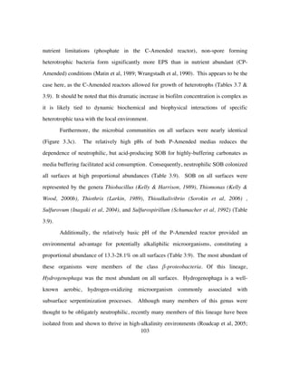 103
nutrient limitations (phosphate in the C-Amended reactor), non-spore forming
heterotrophic bacteria form significantly more EPS than in nutrient abundant (CP-
Amended) conditions (Matin et al, 1989; Wrangstadh et al, 1990). This appears to be the
case here, as the C-Amended reactors allowed for growth of heterotrophs (Tables 3.7 &
3.9). It should be noted that this dramatic increase in biofilm concentration is complex as
it is likely tied to dynamic biochemical and biophysical interactions of specific
heterotrophic taxa with the local environment.
Furthermore, the microbial communities on all surfaces were nearly identical
(Figure 3.3c). The relatively high pHs of both P-Amended medias reduces the
dependence of neutrophilic, but acid-producing SOB for highly-buffering carbonates as
media buffering facilitated acid consumption. Consequently, neutrophilic SOB colonized
all surfaces at high proportional abundances (Table 3.9). SOB on all surfaces were
represented by the genera Thiobacillus (Kelly & Harrison, 1989), Thiomonas (Kelly &
Wood, 2000b), Thiothrix (Larkin, 1989), Thioalkalivibrio (Sorokin et al, 2006) ,
Sulfurovum (Inagaki et al, 2004), and Sulfurospirillum (Schumacher et al, 1992) (Table
3.9).
Additionally, the relatively basic pH of the P-Amended reactor provided an
environmental advantage for potentially alkaliphilic microorganisms, constituting a
proportional abundance of 13.3-28.1% on all surfaces (Table 3.9). The most abundant of
these organisms were members of the class β-proteobacteria. Of this lineage,
Hydrogenophaga was the most abundant on all surfaces. Hydrogenophaga is a well-
known aerobic, hydrogen-oxidizing microorganism commonly associated with
subsurface serpentinization processes. Although many members of this genus were
thought to be obligately neutrophilic, recently many members of this lineage have been
isolated from and shown to thrive in high-alkalinity environments (Roadcap et al, 2005;
 