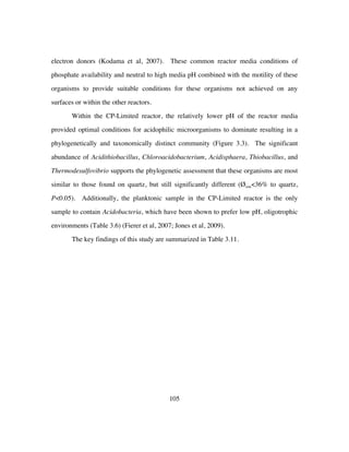 105
electron donors (Kodama et al, 2007). These common reactor media conditions of
phosphate availability and neutral to high media pH combined with the motility of these
organisms to provide suitable conditions for these organisms not achieved on any
surfaces or within the other reactors.
Within the CP-Limited reactor, the relatively lower pH of the reactor media
provided optimal conditions for acidophilic microorganisms to dominate resulting in a
phylogenetically and taxonomically distinct community (Figure 3.3). The significant
abundance of Acidithiobacillus, Chloroacidobacterium, Acidisphaera, Thiobacillus, and
Thermodesulfovibrio supports the phylogenetic assessment that these organisms are most
similar to those found on quartz, but still significantly different (Øsim<36% to quartz,
P<0.05). Additionally, the planktonic sample in the CP-Limited reactor is the only
sample to contain Acidobacteria, which have been shown to prefer low pH, oligotrophic
environments (Table 3.6) (Fierer et al, 2007; Jones et al, 2009).
The key findings of this study are summarized in Table 3.11.
 