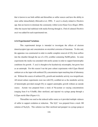 116
that is known to use both sulfide and thiosulfate as sulfur sources and have the ability to
store sulfur intracellularly (Howarth et al, 1999). T. unzii is closely related to Thiothrix
spp. that are known to dominate the community within Lower Kane Cave (Engel, 2004).
After the reactor had stabilized with media flowing through it, 15ml of cultured Thiothrix
unzii was added for each experimental run.
4.3.4 Experimental Variations
This experimental design is intended to investigate the effects of electron
donor/acceptor type and concentration on microbial corrosion of limestone. To this end,
the apparatus was constructed in order to enable complete removal of CO2 from airflow
into the chamber through the use of a CO2 scrubber containing NaOH pellets. In some
experiments the media was amended with sterile acetate in order to support heterotrophic
conditions for growth. T. unzii is thought to be facultatively mixotrophic, but grows best
as an autotroph. For this reason I ran the pure culture experiments with 0.2μm filtered
ambient air as the input with ambient CO2 concentration input matching that of laboratory
air. Without this source of ambient CO2, growth and metabolic activity was insignificant.
All mixed culture experiments were run with CO2 scrubbed air as the metabolic activity
of heterotrophs provided enough CO2 to support autotrophic growth without an outside
source. Acetate was prepared from a stock of Na-acetate at varying concentrations
(ranging from 0 to 9.5mM), filter sterilized, and injected via syringe pump through a
0.22μm sterile filter (Figure 4.1).
Thiosulfate was used as the reduced sulfur source as it provided multiple valences
of sulfur to support oxidation or reduction. The S2O3
2-
was prepared from a stock 1M
solution of Na2S2O3. This solution was filter sterilized and pumped via syringe pump at
 