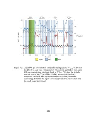 121
Figure 4.2: Log of CO2 gas concentration (atm) in the headspace and δ13
CCO2 (‰) within
the Thiothrix unzii pure culture reactor. Also shown are the flux from air in
CO2 gas concentration (atm) and the air in δ13
CCO2 (‰) since the air in for
this reactor was not CO2 scrubbed. Periods when acetate (Yellow),
thiosulfate (Blue), or both acetate and thiosulfate (Green) are shaded
accordingly. Note that this figure shows a representative period taken from
the much longer experiment.
-30
-25
-20
-15
-10
-5
0.00E+00
5.00E-04
1.00E-03
1.50E-03
2.00E-03
0 1000 2000 3000 4000 5000 6000 7000
δ13CO2
Time (min)
12CO2 atm
Background 12CO2 (atm)
δ13CO2
Background δ
Time (min)
Acetate S2O3
2- Both
1000 2000 3000 4000 5000 6000 70000
-30
2.0
1.5
1.0
-20
-25
0.5
0
δ13CCO2 (‰)
[CO2]
Headspace
δ13CCO2
Headspace
[CO2]
Airin
δ13CCO2
Airin
-15
-10
-5
[CO2]×10-3(atm)
 