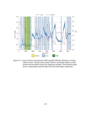 123
Figure 4.3: Log of calcium concentration (mM) and pH within the Thiothrix unzii pure
culture reactor. Periods when acetate (Yellow), thiosulfate (Blue), or both
acetate and thiosulfate (Green) are shaded accordingly. Note that this figure
shows a representative period taken from the much longer experiment.
6"
6.5"
7"
7.5"
8"
8.5"
9"
9.5"
0"
0.5"
1"
1.5"
2"
2.5"
3"
0" 1000" 2000" 3000" 4000" 5000" 6000" 7000"
Ca2+(mM)
Time%(min)%
mM/min"Ca2+"
pH"
9.5
8.5
9.0
8.0
7.5
7.0
6.5
6.0
3.0
2.5
2.0
1.5
1.0
0.5
0
1000 2000 3000 4000 5000 6000 70000
[Ca2+](mM)
pH
[Ca2+]pH
Time (min)
Acetate S2O3
2- Both
 