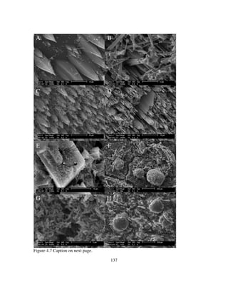 137
Figure 4.7 Caption on next page.
A B
C D
E F
HG
 