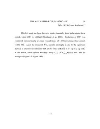 142
6CO2 + 4S° + 10H2O à C6H12O6 + 4SO4
2-
+8H+
(6)
ΔGo
= -507.4kJ•(mol S-substrate)−1
Thiothrix unzii has been shown to oxidize internally stored sulfur during these
periods when S2O3
2-
is withheld (Steinhauer et al, 2010). Production of SO4
2-
was
confirmed photometrically at mean concentrations of ~1.90mM during these periods
(Table 4.6). Again the increased [CO2] despite autotrophy is due to the significant
increase in limestone dissolution (~13X abiotic rates) and drop in pH (up to 2 log units)
of the media, which release relatively heavy CO2 (Δ13
CLS−Air≅16‰) back into the
headspace (Figure 4.3; Figure 4.8D).
 