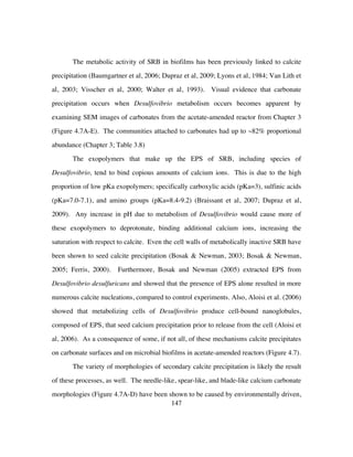 147
The metabolic activity of SRB in biofilms has been previously linked to calcite
precipitation (Baumgartner et al, 2006; Dupraz et al, 2009; Lyons et al, 1984; Van Lith et
al, 2003; Visscher et al, 2000; Walter et al, 1993). Visual evidence that carbonate
precipitation occurs when Desulfovibrio metabolism occurs becomes apparent by
examining SEM images of carbonates from the acetate-amended reactor from Chapter 3
(Figure 4.7A-E). The communities attached to carbonates had up to ~82% proportional
abundance (Chapter 3; Table 3.8)
The exopolymers that make up the EPS of SRB, including species of
Desulfovibrio, tend to bind copious amounts of calcium ions. This is due to the high
proportion of low pKa exopolymers; specifically carboxylic acids (pKa=3), sulfinic acids
(pKa=7.0-7.1), and amino groups (pKa=8.4-9.2) (Braissant et al, 2007; Dupraz et al,
2009). Any increase in pH due to metabolism of Desulfovibrio would cause more of
these exopolymers to deprotonate, binding additional calcium ions, increasing the
saturation with respect to calcite. Even the cell walls of metabolically inactive SRB have
been shown to seed calcite precipitation (Bosak & Newman, 2003; Bosak & Newman,
2005; Ferris, 2000). Furthermore, Bosak and Newman (2005) extracted EPS from
Desulfovibrio desulfuricans and showed that the presence of EPS alone resulted in more
numerous calcite nucleations, compared to control experiments. Also, Aloisi et al. (2006)
showed that metabolizing cells of Desulfovibrio produce cell-bound nanoglobules,
composed of EPS, that seed calcium precipitation prior to release from the cell (Aloisi et
al, 2006). As a consequence of some, if not all, of these mechanisms calcite precipitates
on carbonate surfaces and on microbial biofilms in acetate-amended reactors (Figure 4.7).
The variety of morphologies of secondary calcite precipitation is likely the result
of these processes, as well. The needle-like, spear-like, and blade-like calcium carbonate
morphologies (Figure 4.7A-D) have been shown to be caused by environmentally driven,
 