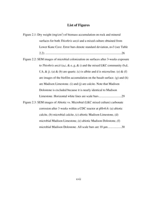 xvii
List of Figures
Figure 2.1: Dry weight (mg/cm2
) of biomass accumulation on rock and mineral
surfaces for both Thiothrix unzii and a mixed culture obtained from
Lower Kane Cave. Error bars denote standard deviation, n=3 (see Table
2.2). ...................................................................................................26	
Figure 2.2: SEM images of microbial colonization on surfaces after 3-weeks exposure
to Thiothrix unzii (a,c, & e, g, & i) and the mixed LKC community (b,d,
f, h, & j). (a) & (b) are quartz. (c) is albite and d is microcline. (e) & (f)
are images of the biofilm accumulation on the basalt surface. (g) and (h)
are Madison Limestone. (i) and (j) are calcite. Note that Madison
Dolostone is excluded because it is nearly identical to Madison
Limestone. Horizontal white lines are scale bars..............................29	
Figure 2.3: SEM images of Abiotic vs. Microbial (LKC mixed culture) carbonate
corrosion after 3 weeks within a CDC reactor at pH=6.6: (a) abiotic
calcite, (b) microbial calcite, (c) abiotic Madison Limestone, (d)
microbial Madison Limestone, (e) abiotic Madison Dolostone, (f)
microbial Madison Dolostone. All scale bars are 10 μm..................30	
 