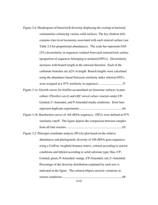 xviii
Figure 2.4: Dendrogram of bacterial β-diversity displaying the overlap in bacterial
communities colonizing various solid surfaces. The key (bottom left)
contains class level taxonomy associated with each mineral surface (see
Table 2.4 for proportional abundances). The scale bar represents 0.05
(5%) dissimilarity in sequences isolated from each mineral/rock surface
(proportion of sequences belonging to unshared OTUs). Dissimilarity
increases with branch length in the outward direction. Each of the
carbonate branches are ≤2% in length. Branch lengths were calculated
using the abundance based Sorenson similarity index wherein OTUs
were assigned at ≥ 97% similarity in sequences...............................37	
Figure 3.1a: Growth curves for biofilm accumulated on limestone surfaces in pure
culture (Thiothrix unzii) and LKC mixed culture reactors under CP-
Limited, C-Amended, and P-Amended media conditions. Error bars
represent duplicate experiments........................................................64	
Figure 3.1b: Rarefaction curves of 16S rRNA sequences. OTUs were defined at 97%
similarity cutoff. The figure depicts the comparison between samples
from all four reactors. .......................................................................65	
Figure 3.2: Principal coordinate analysis (PCoA) plot based on the relative
abundances and phylogenetic diversity of 16S rRNA gene sequences
using a UniFrac weighted distance matrix, colored according to reactor
conditions and labeled according to solid substrate type; blue, CP-
Limited; green, P-Amended; orange, CP-Amended; red, C-Amended.
Percentage of the diversity distribution explained by each axis is
indicated in the figure. The colored ellipses encircle variations in
reactor conditions..............................................................................68	
 