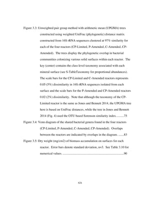 xix
Figure 3.3: Unweighted pair group method with arithmetic mean (UPGMA) trees
constructed using weighted UniFrac (phylogenetic) distance matrix
constructed from 16S rRNA sequences clustered at 97% similarity for
each of the four reactors (CP-Limited, P-Amended, C-Amended, CP-
Amended). The trees display the phylogenetic overlap in bacterial
communities colonizing various solid surfaces within each reactor. The
key (center) contains the class level taxonomy associated with each
mineral surface (see S-TableTaxonomy for proportional abundances).
The scale bars for the CP-Limited and C-Amended reactors represents
0.05 (5%) dissimilarity in 16S rRNA sequences isolated from each
surface and the scale bars for the P-Amended and CP-Amended reactors
0.02 (2%) dissimilarity. Note that although the taxonomy of the CP-
Limited reactor is the same as Jones and Bennett 2014, the UPGMA tree
here is based on UniFrac distances, while the tree in Jones and Bennett
2014 (Fig. 4) used the OTU based Sorenson similarity index..........75	
Figure 3.4: Venn diagram of the shared bacterial genera found in the four reactors
(CP-Limited, P-Amended, C-Amended, CP-Amended). Overlaps
between the reactors are indicated by overlaps in the diagram. .......83	
Figure 3.5: Dry weight (mg/cm2) of biomass accumulation on surfaces for each
reactor. Error bars denote standard deviation, n=3. See Table 3.10 for
numerical values. ..............................................................................90	
 