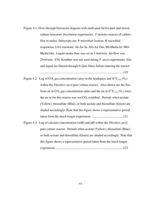 xx
Figure 4.1: Flow-through bioreactor diagram with multi-port lid for pure and mixed
culture limestone dissolution experiments. F denotes sources of carbon
flux in moles. Subscripts are: F-microbial fixation, R-microbial
respiration, LS-Limestone, AI-Air In, AO-Air Out, MI-Media In, MO-
Media Out. Liquid media flow was set to 1.4ml/min. Air flow was
25ml/min. CO2 Scrubber was not used during T. unzii experiments. Gas
and liquid are filtered through 0.2μm filters before entering the reactor.
.........................................................................................................119	
Figure 4.2: Log of CO2 gas concentration (atm) in the headspace and δ13
CCO2 (‰)
within the Thiothrix unzii pure culture reactor. Also shown are the flux
from air in CO2 gas concentration (atm) and the air in δ13
CCO2 (‰) since
the air in for this reactor was not CO2 scrubbed. Periods when acetate
(Yellow), thiosulfate (Blue), or both acetate and thiosulfate (Green) are
shaded accordingly. Note that this figure shows a representative period
taken from the much longer experiment.........................................121	
Figure 4.3: Log of calcium concentration (mM) and pH within the Thiothrix unzii
pure culture reactor. Periods when acetate (Yellow), thiosulfate (Blue),
or both acetate and thiosulfate (Green) are shaded accordingly. Note that
this figure shows a representative period taken from the much longer
experiment.......................................................................................123	
 