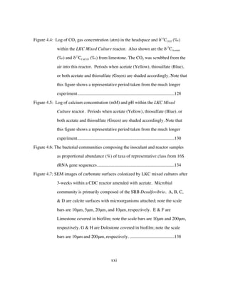 xxi
Figure 4.4: Log of CO2 gas concentration (atm) in the headspace and δ13
CCO2 (‰)
within the LKC Mixed Culture reactor. Also shown are the δ13
CAcetate
(‰) and δ13
CCaCO3 (‰) from limestone. The CO2 was scrubbed from the
air into this reactor. Periods when acetate (Yellow), thiosulfate (Blue),
or both acetate and thiosulfate (Green) are shaded accordingly. Note that
this figure shows a representative period taken from the much longer
experiment.......................................................................................128	
Figure 4.5: Log of calcium concentration (mM) and pH within the LKC Mixed
Culture reactor. Periods when acetate (Yellow), thiosulfate (Blue), or
both acetate and thiosulfate (Green) are shaded accordingly. Note that
this figure shows a representative period taken from the much longer
experiment.......................................................................................130	
Figure 4.6: The bacterial communities composing the inoculant and reactor samples
as proportional abundance (%) of taxa of representative class from 16S
rRNA gene sequences.....................................................................134	
Figure 4.7: SEM images of carbonate surfaces colonized by LKC mixed cultures after
3-weeks within a CDC reactor amended with acetate. Microbial
community is primarily composed of the SRB Desulfovibrio. A, B, C,
& D are calcite surfaces with microorganisms attached; note the scale
bars are 10μm, 5μm, 20μm, and 10μm, respectively. E & F are
Limestone covered in biofilm; note the scale bars are 10μm and 200μm,
respectively. G & H are Dolostone covered in biofilm; note the scale
bars are 10μm and 200μm, respectively. ........................................138	
 