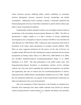 2
surface chemistry pressures (buffering ability, nutrient availability) on community
structure, phylogenetic diversity, taxonomic diversity, membership, and biofilm
accumulation. Additionally, herein I attempt to identify a statistically significant link
between phylogenetic diversity of microbial communities to specific natural surface types
under a variety of geochemical conditions.
Fundamentally, biofilms attached to surfaces can exert highly localized control on
geochemistry of the surrounding microenvironment (Bennett et al, 2000). The effect on
geochemistry is highly variable as it is both a function of actively metabolizing
microorganisms and a consequence of passive reactions with EPS or even microbial cell
walls (Bennett et al, 1996; Ehrlich, 1996). Furthermore, these interactions often results in
dissolution of the surface and/or precipitation of secondary minerals (Ehrlich, 1996).
There are many suggested mechanisms for this process, for the sake of brevity, two
examples include: EPS and cell walls of prokaryotes acting as nucleation sites for mineral
precipitation, by binding solutes (Aloisi et al, 2006; Ferris, 2000; Roberts et al, 2004),
and microbial metabolism-induced dissolution/precipitation (Engel et al, 2004b;
Steinhauer et al, 2010). Due their participation in the global carbon cycle, most
biogeochemically-induced dissolution or precipitation reactions involve carbonate
minerals, but it has been shown repeatedly that attached microorganisms can facilitate
and significantly alter rates of mineral and rock dissolution/precipitation of silicates,
hydroxides/oxides, sulfides/sulfates, and phosphates (Schultze-Lam et al, 1996). Despite
this, the mechanisms behind the vast majority of these biogeochemical interactions are
either not understood or have yet to be documented.
One overt consequence of these interactions is the formation of carbonate karst.
Generally, these landscapes form where soluble carbonate rocks dissolve by chemical
solution forming distinctive surface features (e.g. sinkholes and dolines) and subsurface
 