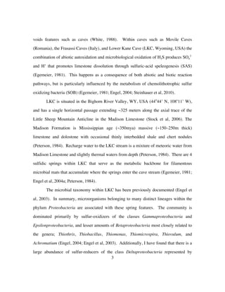3
voids features such as caves (White, 1988). Within caves such as Movile Caves
(Romania), the Frasassi Caves (Italy), and Lower Kane Cave (LKC, Wyoming, USA) the
combination of abiotic autoxidation and microbiological oxidation of H2S produces SO4
2-
and H+
that promotes limestone dissolution through sulfuric-acid speleogenesis (SAS)
(Egemeier, 1981). This happens as a consequence of both abiotic and biotic reaction
pathways, but is particularly influenced by the metabolism of chemolithotrophic sulfur
oxidizing bacteria (SOB) (Egemeier, 1981; Engel, 2004; Steinhauer et al, 2010).
LKC is situated in the Bighorn River Valley, WY, USA (44o
44’ N, 108o
11’ W),
and has a single horizontal passage extending ~325 meters along the axial trace of the
Little Sheep Mountain Anticline in the Madison Limestone (Stock et al, 2006). The
Madison Formation is Mississippian age (~350mya) massive (~150–250m thick)
limestone and dolostone with occasional thinly interbedded shale and chert nodules
(Peterson, 1984). Recharge water to the LKC stream is a mixture of meteoric water from
Madison Limestone and slightly thermal waters from depth (Peterson, 1984). There are 4
sulfidic springs within LKC that serve as the metabolic backbone for filamentous
microbial mats that accumulate where the springs enter the cave stream (Egemeier, 1981;
Engel et al, 2004a; Peterson, 1984).
The microbial taxonomy within LKC has been previously documented (Engel et
al, 2003). In summary, microorganisms belonging to many distinct lineages within the
phylum Proteobacteria are associated with these spring features. The community is
dominated primarily by sulfur-oxidizers of the classes Gammaproteobacteria and
Epsilonproteobacteria, and lesser amounts of Betaproteobacteria most closely related to
the genera; Thiothrix, Thiobacillus, Thiomonas, Thiomicrospira, Thiovulum, and
Achromatium (Engel, 2004; Engel et al, 2003). Additionally, I have found that there is a
large abundance of sulfur-reducers of the class Deltaproteobacteria represented by
 