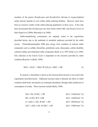 4
members of the genera Desulfocapsa and Desulfovibrio thriving in oxygen-depleted
niches directly beneath or even within sulfur-oxidizing biofilms. However, there have
been no extensive studies of the sulfur-reducing populations in these caves. It has only
been documented that Desulfocapsa has been found within LKC and Frasassi Caves in
Italy (Engel et al, 2004a; Macalady et al, 2006).
Sulfur-metabolizing communities are uniquely suited to the experiments
described herein, due to the multitude of metabolic pathways provided by the sulfur
system. Chemolithoautotrophic SOB gain energy from oxidation of reduced sulfur
compounds such as sulfide, thiosulfate, polythionic acids, thiocyanate, carbon disulfide,
carbonyl sulfide and methylated sulfur compounds (Kelly et al, 1997; Kelly et al, 1994).
CO2 reduction in the Calvin Cycle is dependent on the electrons provided by sulfur
oxidation (Reaction 1) (Kelly, 1999).
6CO2 + 3S2O3
2-
+ 9H2O à C6H12O6 + 6SO4
2-
+ 6H+
(1)
In reaction 1, thiosulfate is shown as the electron donor because it was used in the
experiments described herein. Additional reactions help to illustrate the effect of sulfur
oxidation (both biotic and abiotic) on carbonate dissolution, through either production or
consumption of acidity. These reactions include (Kelly, 1999):
H2S + 2O2 à SO4
2-
+ 2H+
ΔGo
= -714kJ•mol−1
(2)
HS-
+ 0.5O2 à So
+ OH-
ΔGo
= -145kJ•mol−1
(3)
So
+ H2O + 1.5O2 à SO4
2-
+ 2H+
ΔGo
= -507kJ•mol−1
(4)
S2O3
2-
+ H2O + 2O2 à 2SO4
2-
+ 2H+
ΔGo
= -739kJ•mol−1
(5)
 
