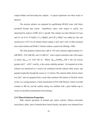 16
coupon holders and harvesting the coupons. A typical experiment was three weeks in
duration.
The reaction solution was prepared by equilibrating DI-H2O water with finely
powdered Iceland spar calcite. Equilibrium status, with respect to calcite, was
determined by analysis of DIC, [Ca2+
], and pH. This solution was then filtered to 0.2 μm
and 8.3 ml of 0.1 N H2SO4, 0.1 g MgSO4 and 0.25 g NH4Cl was added per liter and
autoclaved at 121o
C for 45 minutes before adding 2 ml/L and 5 ml/L of filter-sterilized
trace metal solution and Wolfe’s Vitamin solution, respectively (Burlage, 1998).
The final prepared solution had a pH of ~6.9 and contained (approximately) 0.1
mM HCO3
−
, 0.83 mM SO4
=
and 1.0 mM Ca2+
, with a typical saturation state with respect
to calcite (Ωcalcite) of ~0.01 (SI~-2). Where, Ωcalcite=IAP/Ksp, IAP is the ion activity
product (aCa2+
· aCO3
2−
) and Ksp is the calcite solubility product. Six hundred ml of this
solution was transferred to a vessel to be combined with the reduced sulfur source, and
pumped aseptically through the reactor at 1.2 ml/min. The reduced sulfur electron donor
was S2O3
2-
and was prepared from a stock filter sterilized 1M solution of Na2S2O3 mixed
in-line via a syringe pump to a final concentration of 0.83 mM. Reactor volume was held
constant at 400 ml, and the outflow tubing was outfitted with a glass bubble trap to
ensure no microbial contamination from drainage.
2.3.1 Mineral Substrata Preparation
Bulk mineral specimens of Iceland spar calcite (calcite), Ontario microcline
(microcline), albite, chert, Columbia River basalt (basalt), and quartz were obtained from
 