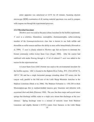 19
entire apparatus was autoclaved at 121o
C for 45 minutes. Scanning electron
microscope (SEM) examination of all starting material specimens was used to compare
with coupons run through the experimental processes.
2.3.2 Microbial Inoculant
Thiothrix unzii was used as the pure-culture inoculant for the biofilm experiments.
T. unzii is a colorless, filamentous, neutrophilic, chemoautotrophic, sulfur-oxidizing
member of the Gammaproteobacteria class that is known to use both sulfide and
thiosulfate as sulfur sources and have the ability to store sulfur intracellularly (Howarth et
al, 1999). T. unzii is closely related to Thiothrix spp. that are known to dominate the
biomat community within Lower Kane Cave (Engel, 2004). After the reactor had
stabilized with media flowing through it, 15 ml of cultured T. unzii was added to the
reactor for the experimental run.
A Lower Kane Cave (LKC) biomat was used as the environmental inoculant for
the biofilm reactors. LKC is located in the Bighorn River Valley, WY, USA (44o
44’ N,
108o
11’ W) and has a single horizontal passage extending about 325 meters into the
canyon wall, parallel to the fold axis of the Little Sheep Mountain Anticline in the
Madison Limestone (Stock et al, 2006). The Madison Formation is ~150–250 m thick
Mississippian-age thin to medium-bedded massive grey limestone and dolomite with
occasional chert and shale (Peterson, 1984). The cave has three major and several minor
springs that discharge sulfidic water to a single cave stream that discharges at the cave
entrance. Spring discharge water is a mixture of meteoric water from Madison
Limestone and slightly thermal (~23.5o
C) waters from fractures in the Little Sheep
 