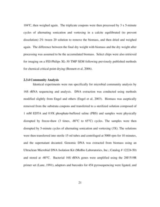 21
104o
C, then weighed again. The triplicate coupons were then processed by 3 x 5-minute
cycles of alternating sonication and vortexing in a calcite equilibrated (to prevent
dissolution) 2% tween 20 solution to remove the biomass, and then dried and weighed
again. The difference between the final dry weight with biomass and the dry weight after
processing was assumed to be the accumulated biomass. Select chips were also retrieved
for imaging on a FEI-Philips XL-30 TMP SEM following previously published methods
for chemical critical point drying (Bennett et al, 2006).
2.3.4 Community Analysis
Identical experiments were run specifically for microbial community analysis by
16S rRNA sequencing and analysis. DNA extraction was conducted using methods
modified slightly from Engel and others (Engel et al, 2003). Biomass was aseptically
removed from the substrata coupons and transferred to a sterilized solution composed of
1 mM EDTA and 0.9X phosphate-buffered saline (PBS) and samples were physically
disrupted by freeze-thaw (3 times, -80°C to 65°C) cycles. The samples were then
disrupted by 5-minute cycles of alternating sonication and vortexing (3X). The solutions
were then transferred into sterile 15 ml tubes and centrifuged at 5000 rpm for 10 minutes,
and the supernatant decanted. Genomic DNA was extracted from biomass using an
Ultraclean Microbial DNA Isolation Kit (MoBio Laboratories, Inc.; Catalog # 12224-50)
and stored at -80°C. Bacterial 16S rRNA genes were amplified using the 28F/519R
primer set (Lane, 1991), adaptors and barcodes for 454 pyrosequencing were ligated, and
 