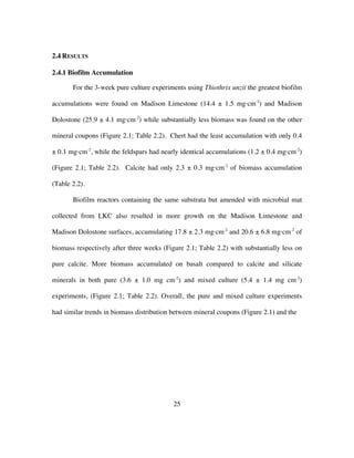 25
2.4 RESULTS
2.4.1 Biofilm Accumulation
For the 3-week pure culture experiments using Thiothrix unzii the greatest biofilm
accumulations were found on Madison Limestone (14.4 ± 1.5 mg·cm-2
) and Madison
Dolostone (25.9 ± 4.1 mg·cm-2
) while substantially less biomass was found on the other
mineral coupons (Figure 2.1; Table 2.2). Chert had the least accumulation with only 0.4
± 0.1 mg·cm-2
, while the feldspars had nearly identical accumulations (1.2 ± 0.4 mg·cm-2
)
(Figure 2.1; Table 2.2). Calcite had only 2.3 ± 0.3 mg·cm-2
of biomass accumulation
(Table 2.2).
Biofilm reactors containing the same substrata but amended with microbial mat
collected from LKC also resulted in more growth on the Madison Limestone and
Madison Dolostone surfaces, accumulating 17.8 ± 2.3 mg·cm-2
and 20.6 ± 6.8 mg·cm-2
of
biomass respectively after three weeks (Figure 2.1; Table 2.2) with substantially less on
pure calcite. More biomass accumulated on basalt compared to calcite and silicate
minerals in both pure (3.6 ± 1.0 mg cm-2
) and mixed culture (5.4 ± 1.4 mg cm-2
)
experiments, (Figure 2.1; Table 2.2). Overall, the pure and mixed culture experiments
had similar trends in biomass distribution between mineral coupons (Figure 2.1) and the
 