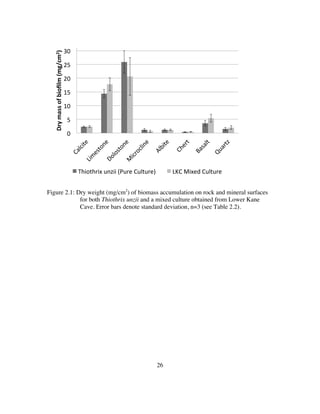 26
Figure 2.1: Dry weight (mg/cm2
) of biomass accumulation on rock and mineral surfaces
for both Thiothrix unzii and a mixed culture obtained from Lower Kane
Cave. Error bars denote standard deviation, n=3 (see Table 2.2).
0"
5"
10"
15"
20"
25"
30"
Dry$mass$of$bioﬁlm$(mg/cm2)$
Thiothrix"unzii"(Pure"Culture)" LKC"Mixed"Culture"
 