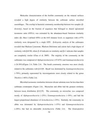 34
Molecular characterization of the biofilm community on the mineral surfaces
revealed a high degree of similarity between the carbonate surface microbial
assemblages. The overlap in bacterial community membership between two samples (β-
diversity), based on the fraction of sequences that belonged to shared operational
taxonomic units (OTUs), was estimated by the abundance-based Sorenson similarity
index (β). Here I defined OTUs at the 0.03 distance level, so sequences with ≥ 97%
similarity were designated by a single OTU. β-diversity analysis of the carbonates
revealed that Madison Limestone, Madison Dolostone and calcite had a high degree of
similarity with β>0.98, where β =0 indicates no similarity and β=1 indicates that samples
are completely similar (Chao et al, 2005). The majority of the community on the
carbonates was composed of Alphaproteobacteria (~57-67%) and Gammaproteobacteria
(~24-38%)(Figure 2.4; Table 2.4). The basalt community structure was most closely
related to the carbonates with β~0.69. Basalt was dominated by Gammaproteobacteria
(~70%), primarily represented by microorganisms most closely related to the genus
Thiothrix (~66%) (Table 2.4).
Microbial taxonomic similarities between silicate substrata were far less than their
carbonate counterparts (Figure 2.4). Microcline and albite had the greatest similarity
between taxon distribution (β~0.35). The community on microcline was composed
mostly of Alphaproteobacteria (~25%), Gammaproteobacteria (~16%), and had the
largest proportional abundance of Actinobacteria (~25%). Similarly, the community on
albite was dominated by Alphaproteobacteria (~57%) and Gammaproteobacteria
(~20%), but had no detectable Actinobacteria (Table 2.4). The Gram-positive
 