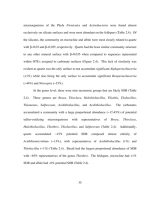 35
microorganisms of the Phyla Firmicutes and Actinobacteria were found almost
exclusively on silicate surfaces and were most abundant on the feldspars (Table 2.4). Of
the silicates, the community on microcline and albite were most closely related to quartz
with β~0.03 and β~0.025, respectively. Quartz had the least similar community structure
to any other mineral surface with β~0.035 when compared to sequences represented
within OTUs assigned to carbonate surfaces (Figure 2.4). This lack of similarity was
evident as quartz was the only surface to not accumulate significant Alphaproteobacteria
(<1%) while also being the only surface to accumulate significant Betaproteobacteria
(~44%) and Nitrospira (~15%).
At the genus level, there were nine taxonomic groups that are likely SOB (Table
2.4). These genera are Bosea, Thioclava, Halothiobacillus, Thiothix, Thobacillus,
Thiomonas, Sulfurovum, Acidithiobacillus, and Acidithiobacillus. The carbonates
accumulated a community with a large proportional abundance (~17-45%) of potential
sulfur-oxidizing microorganisms with representatives of Bosea, Thioclava,
Halothiobacillus, Thiothrix, Thiobacillus, and Sulfurovum (Table 2.4). Additionally,
quartz accumulated ~15% potential SOB composed almost entirely of
Acidithiomicrobium (~13%), with representatives of Acidithiobacillus (1%) and
Thiobacillus (~1%) (Table 2.4). Basalt had the largest proportional abundance of SOB
with ~65% representatives of the genus Thiothrix. The feldspars, microcline had <1%
SOB and albite had ~6% potential SOB (Table 2.4).
 