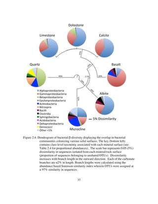 37
Figure 2.4: Dendrogram of bacterial β-diversity displaying the overlap in bacterial
communities colonizing various solid surfaces. The key (bottom left)
contains class level taxonomy associated with each mineral surface (see
Table 2.4 for proportional abundances). The scale bar represents 0.05 (5%)
dissimilarity in sequences isolated from each mineral/rock surface
(proportion of sequences belonging to unshared OTUs). Dissimilarity
increases with branch length in the outward direction. Each of the carbonate
branches are ≤2% in length. Branch lengths were calculated using the
abundance based Sorenson similarity index wherein OTUs were assigned at
≥ 97% similarity in sequences.
0.05
Quartz'
Limestone'
Dolostone'
Calcite'
Basalt'
Albite'
Microcline'
49%' 32%' 16%'
15%'
2.5%'
5%'Dissimilarity'
Alphaproteobacteria'
Gammaproteobacteria'
Betaproteobacteria'
Epsilonproteobacteria'
AcEnobacteria'
Nitrospira'
Bacilli'
Clostridia'
Sphingobacteria'
Acidobacteria'
Deltaproteobacteria'
Deinococci'
Other'<1%'
 