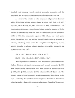 41
hypothesis that mineralogy controls microbial community composition and that
neutrophilic SOB preferentially colonize highly-buffering carbonates (Table 2.4).
As a result of the oxidation of sulfur compounds and production of mineral
acidity, SOB corrode carbonate minerals (Barton & Luiszer, 2005; Davis et al, 2007;
Engel et al, 2004b; Macalady et al, 2007; Steinhauer et al, 2010), and I find there is a link
between microbial community composition and mineral weathering reactions. In biofilm
reactors, all sulfur-oxidizing genera that colonized carbonate surfaces were neutrophilic
(~17% to ~45% of the representative sequences; Table 2.4), and had a much greater
affinity for carbonate rocks over silicates. This association reflects the advantage of
colonizing a buffering mineral surface for neutrophilic but acid-producing bacteria,
whereby dissolution of carbonate minerals neutralizes excess acidity generated by the
oxidation of both So
and S203
2-
:
2CaCO3 + So
+ 1.5O2 + H2O ⇔ SO4
2-
+ 2HCO3
-
+ 2Ca2+
2CaCO3 + S2O3
2-
+2O2 + H2O ⇔ 2SO4
2-
+ 2HCO3
-
+ 2Ca2+
These biogeochemical dependencies cause the carbonates (Madison Limestone,
Madison Dolostone, and calcite) to accumulate nearly identical communities (β>0.98)
while having relatively low β-diversity values when compared to non-buffering basalt
(β<0.69), albite (β<0.60), microcline (β<0.50), and quartz (β<0.035) (Figure 2.4). This
indicates that the microbial communities on carbonates are nearly identical at the species
level. Additionally, this dependency results in aggressive dissolution of the carbonate
mineral, producing a characteristic weathered surface texture (Figure 2.3). These textures
 