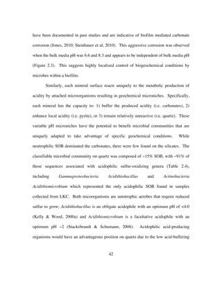 42
have been documented in past studies and are indicative of biofilm mediated carbonate
corrosion (Jones, 2010; Steinhauer et al, 2010). This aggressive corrosion was observed
when the bulk media pH was 6.6 and 8.3 and appears to be independent of bulk media pH
(Figure 2.3). This suggests highly localized control of biogeochemical conditions by
microbes within a biofilm.
Similarly, each mineral surface reacts uniquely to the metabolic production of
acidity by attached microorganisms resulting in geochemical microniches. Specifically,
each mineral has the capacity to: 1) buffer the produced acidity (i.e. carbonates), 2)
enhance local acidity (i.e. pyrite), or 3) remain relatively unreactive (i.e. quartz). These
variable pH microniches have the potential to benefit microbial communities that are
uniquely adapted to take advantage of specific geochemical conditions. While
neutrophilic SOB dominated the carbonates, there were few found on the silicates. The
classifiable microbial community on quartz was composed of ~15% SOB, with ~91% of
those sequences associated with acidophilic sulfur-oxidizing genera (Table 2.4),
including Gammaproteobacteria Acidithiobacillus and Actinobacteria
Acidithiomicrobium which represented the only acidophilic SOB found in samples
collected from LKC. Both micoorganisms are autotrophic aerobes that require reduced
sulfur to grow; Acidithiobacillus is an obligate acidophile with an optimum pH of <4.0
(Kelly & Wood, 2000a) and Acidithiomicrobium is a facultative acidophile with an
optimum pH ~2 (Stackebrandt & Schumann, 2006). Acidophilic acid-producing
organisms would have an advantageous position on quartz due to the low acid-buffering
 