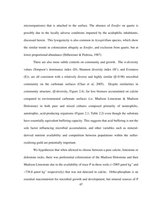 47
microorganisms) that is attached to the surface. The absence of Ensifer on quartz is
possibly due to the locally adverse conditions imparted by the acidophilic inhabitants,
discussed herein. This lysogenicity is also common in Azospirillum species, which show
the similar trends in colonization ubiquity as Ensifer, and exclusion from quartz, but at
lower proportional abundance (Döbereiner & Pedrosa, 1987).
There are also more subtle controls on community and growth. The α-diversity
values (Simpson’s dominance index (D), Shannon diversity index (H’), and Evenness
(E)), are all consistent with a relatively diverse and highly similar (β~0.98) microbial
community on the carbonate surfaces (Chao et al, 2005). Despite similarities in
community structure, (β-diversity, Figure 2.4), far less biomass accumulated on calcite
compared to environmental carbonate surfaces (i.e. Madison Limestone & Madison
Dolostone) in both pure and mixed cultures composed primarily of neutrophilic,
autotrophic, acid-producing organisms (Figure 2.1; Table 2.2) even though the substrata
have essentially equivalent buffering capacity. This suggests that acid buffering is not the
sole factor influencing microbial accumulation, and other variables such as mineral-
derived nutrient availability and competition between populations within the sulfur-
oxidizing guild are potentially important.
We hypothesize that when allowed to choose between a pure calcite, limestone or
dolostone rocks, there was preferential colonization of the Madison Dolostone and then
Madison Limestone due to the availability of trace P in these rocks (~2905 μmol kg-1
and
~736.8 μmol kg-1
respectively) that was not detected in calcite. Ortho-phosphate is an
essential macronutrient for microbial growth and development, but mineral sources of P
 
