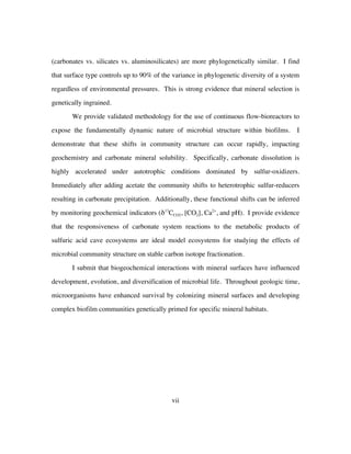 vii
(carbonates vs. silicates vs. aluminosilicates) are more phylogenetically similar. I find
that surface type controls up to 90% of the variance in phylogenetic diversity of a system
regardless of environmental pressures. This is strong evidence that mineral selection is
genetically ingrained.
We provide validated methodology for the use of continuous flow-bioreactors to
expose the fundamentally dynamic nature of microbial structure within biofilms. I
demonstrate that these shifts in community structure can occur rapidly, impacting
geochemistry and carbonate mineral solubility. Specifically, carbonate dissolution is
highly accelerated under autotrophic conditions dominated by sulfur-oxidizers.
Immediately after adding acetate the community shifts to heterotrophic sulfur-reducers
resulting in carbonate precipitation. Additionally, these functional shifts can be inferred
by monitoring geochemical indicators (δ13
CCO2, [CO2], Ca2+
, and pH). I provide evidence
that the responsiveness of carbonate system reactions to the metabolic products of
sulfuric acid cave ecosystems are ideal model ecosystems for studying the effects of
microbial community structure on stable carbon isotope fractionation.
I submit that biogeochemical interactions with mineral surfaces have influenced
development, evolution, and diversification of microbial life. Throughout geologic time,
microorganisms have enhanced survival by colonizing mineral surfaces and developing
complex biofilm communities genetically primed for specific mineral habitats.
 