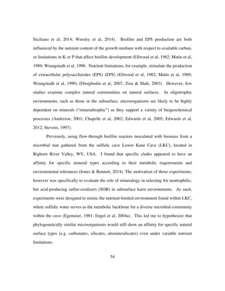 54
Siciliano et al, 2014; Winsley et al, 2014). Biofilm and EPS production are both
influenced by the nutrient content of the growth medium with respect to available carbon,
or limitations in K or P that affect biofilm development (Ellwood et al, 1982; Matin et al,
1989; Wrangstadh et al, 1990. Nutrient limitations, for example, stimulate the production
of extracellular polysaccharides (EPS) (EPS) (Ellwood et al, 1982; Matin et al, 1989;
Wrangstadh et al, 1990) (Eboigbodin et al, 2007; Zisu & Shah, 2003). However, few
studies examine complex natural communities on natural surfaces. In oligotrophic
environments, such as those in the subsurface, microorganisms are likely to be highly
dependent on minerals (“mineraltrophic”) as they support a variety of biogeochemical
processes (Anderson, 2001; Chapelle et al, 2002; Edwards et al, 2005; Edwards et al,
2012; Stevens, 1997).
Previously, using flow-through biofilm reactors inoculated with biomass from a
microbial mat gathered from the sulfidic cave Lower Kane Cave (LKC), located in
Bighorn River Valley, WY, USA. I found that specific clades appeared to have an
affinity for specific mineral types according to their metabolic requirements and
environmental tolerances (Jones & Bennett, 2014). The motivation of those experiments,
however was specifically to evaluate the role of mineralogy in selecting for neutrophilic,
but acid-producing sulfur-oxidizers (SOB) in subsurface karst environments. As such,
experiments were designed to mimic the nutrient-limited environment found within LKC,
where sulfidic water serves as the metabolic backbone for a diverse microbial community
within the cave (Egemeier, 1981; Engel et al, 2004a). This led me to hypothesize that
phylogenetically similar microorganisms would still show an affinity for specific natural
surface types (e.g. carbonates, silicates, aluminosilicates) even under variable nutrient
limitations.
 