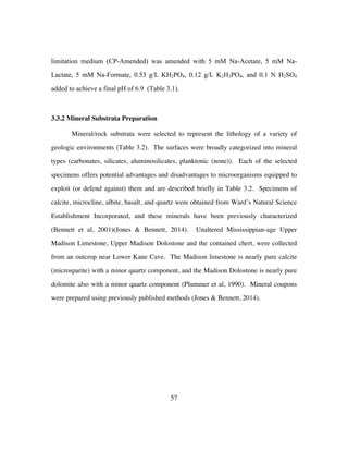 57
limitation medium (CP-Amended) was amended with 5 mM Na-Acetate, 5 mM Na-
Lactate, 5 mM Na-Formate, 0.53 g/L KH2PO4, 0.12 g/L K2H2PO4, and 0.1 N H2SO4
added to achieve a final pH of 6.9 (Table 3.1).
3.3.2 Mineral Substrata Preparation
Mineral/rock substrata were selected to represent the lithology of a variety of
geologic environments (Table 3.2). The surfaces were broadly categorized into mineral
types (carbonates, silicates, aluminosilicates, planktonic (none)). Each of the selected
specimens offers potential advantages and disadvantages to microorganisms equipped to
exploit (or defend against) them and are described briefly in Table 3.2. Specimens of
calcite, microcline, albite, basalt, and quartz were obtained from Ward’s Natural Science
Establishment Incorporated, and these minerals have been previously characterized
(Bennett et al, 2001)(Jones & Bennett, 2014). Unaltered Mississippian-age Upper
Madison Limestone, Upper Madison Dolostone and the contained chert, were collected
from an outcrop near Lower Kane Cave. The Madison limestone is nearly pure calcite
(microsparite) with a minor quartz component, and the Madison Dolostone is nearly pure
dolomite also with a minor quartz component (Plummer et al, 1990). Mineral coupons
were prepared using previously published methods (Jones & Bennett, 2014).
 