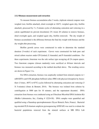 60
3.3.3 Biomass measurement and extraction
To measure biomass accumulation after 3 weeks, triplicate mineral coupons were
weighed (wet, biofilm attached), dried overnight at 104°C, weighed again (dry, biofilm
attached), processed by 3 x 5-minute cycles of alternating sonication and vortexing in a
calcite equilibrated (to prevent dissolution) 2% tween 20 solution to remove biomass,
dried overnight again, and weighed again (dry, biofilm removed). The dry weight of
biomass accumulated is the difference between the final dry weight with biomass and the
dry weight after processing.
Biofilm growth curves were constructed in order to determine the standard
duration (3-weeks) of each experiment. Curves were constructed for both pure and
mixed culture reactors under CP-Limited, C-Amended, and P-Amended conditions. For
these experiments, limestone was the sole surface type occupying all 24 coupon spaces.
Two limestone coupons (chosen randomly) were sacrificed at 48-hour intervals and
biomass was measured according to the method described above. The resulting curves
are shown in Figure 3.1a.
For DNA extraction, biomass was aseptically isolated from mineral coupons in 1
mM EDTA and 0.9X phosphate-buffered saline (PBS with physical disruption by freeze-
thaw (3 times, -80°C to 65°C) cycles followed by alternating sonication and vortexing (3
X 5-minutes) (Jones & Bennett, 2014). The biomass was isolated from solution by
centrifugation at 5000 rpm for 10 minutes, and the supernatant decanted. DNA
extraction from biomass was conducted using an Ultraclean Microbial DNA Isolation Kit
(MoBio Laboratories, Inc.; Catalog # 12224-50). DNA samples were quantified and
qualified using a Nanodrop spectrophotometer (Nyxor Biotech, Paris, France). Bacterial
tag-encoded FLX-titanium amplicon pyrosequencing (bTEFAP) was used to evaluate the
bacterial populations removed from the mineral surfaces at MR DNA Lab
 