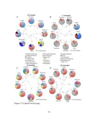 74
Figure 3.3: Caption on next page:
Alphaproteobacteria Gammaproteobacteria Betaproteobacteria
Deltaproteobacteria Actinobacteria Bacilli
Clostridia Bacteroidia Flavobacteriia
Acidimicrobiia TM7 Epsilonproteobacteria
Acidobacteria Nitrospira Sphingobacteria
Verrucomicrobia Deinococci Other <1%
Other Proteobacteria Saprospirae
0.02
2% Dissimilarity
Calcite
Limestone Dolostone
Microcline)
Albite
Quartz
Chert
18.5%
3.1%
2.0%
8.5%
2.8%
2.8%
5.2%
4.8%
8.2%
1.2%
1.9%
1.9%
2.0%
3.2%
3.2%
5.8%
Planktonic
Basalt
2% Dissimilarity
Limestone Dolostone
Planktonic
Quartz
Calcite
Chert
Microcline
Albite
Basalt
0.02
Albite
Limestone Dolostone
Calcite
Quartz Basalt
Microcline
Chert
2% Dissimilarity
7.7%
12%
4.4%
1.4%
1.4%
1.5%
1.5%
0.2%
0.3%
1.3%
1.5%
0.8%
0.7%
1.4%
2.1%
1.4%
Planktonic
2% Dissimilarity
Limestone Dolostone
Calcite Microcline
Basalt
AlbiteChert
Planktonic
Quartz
0.05
Limestone Dolostone
Calcite
Microcline
Basalt
Quartz
Chert
Albite
9.3%
6.7%
6.7%
2.1%
0.3%
2.1%
2.4%
13%
23%
46%
39%
7.1%
0.2%
0.2%
2.8%
2.6%
PlanktonicPlanktonic
Quartz
Albite
Calcite
Basalt
Chert
Microcline
Limestone Dolostone
CP-Limited C-Amended
P-Amended CP-Amended
5% Dissimilarity
0.04
Planktonic
Quartz
Limestone
Dolostone
13%
Calcite
Microcline
20%
1.5%
1.1%
26%
32%
Basalt
Albite
2.7%
2.7%
3.7%
5.3%
5.7%
7.2%
5.2%
2.0%
5%#Dissimilarity#
5% Dissimilarity
Dolostone
Planktonic
Quartz
Calcite
Albite
Microcline
Basalt
LimestoneA B
C D
 