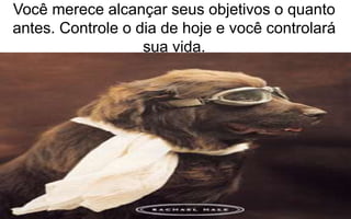 Você merece alcançar seus objetivos o quanto 
antes. Controle o dia de hoje e você controlará 
sua vida. 
 
