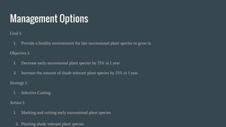 Management Options
Goal 1:
1. Provide a healthy environment for late successional plant species to grow in
Objective 1:
1. Decrease early successional plant species by 75% in 1 year
2. Increase the amount of shade tolerant plant species by 25% in 1 year
Strategy 1:
1. Selective Cutting
Action 1:
1. Marking and cutting early successional plant species
2. Planting shade tolerant plant species
 